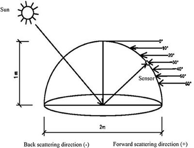 Remotely Estimating Aerial N Uptake in Winter Wheat Using Red-Edge Area Index From Multi-Angular Hyperspectral Data